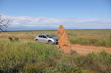 Termitenhügel neben einer unbefestigten Straße im Nationalpark Emas. Auf der Straße hält ein silbernes Auto