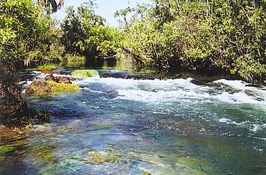 Fluss mit klarem Wasser im Nationalpark Emas in Brasilien. An den Ufern stehen Bäume.