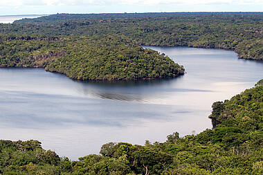 Fluss-Schleife des Amazonas