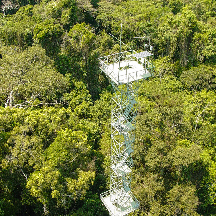 Der Vogelbeobachtungsturm der Cristalino Jungle Lodge ermöglicht einen spektakulären Blick auf die üppige Dschungellandschaft und bietet eine hervorragende Gelegenheit, die vielfältige Vogelwelt des Amazonas zu beobachten.
