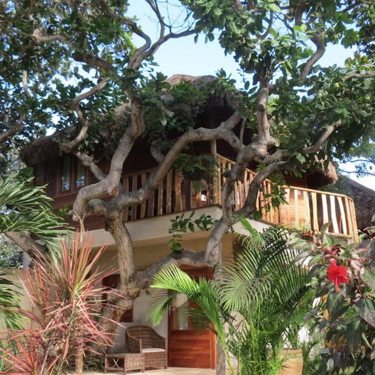 Balkon im Hurricane Hotel in Jericoacoara inmitten tropischer Pflanzen, der zum Entspannen einlädt.
