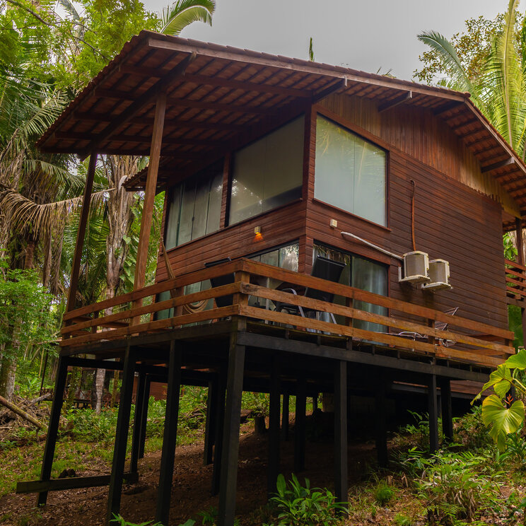 Holzbungalow auf Stelzen umgeben von dichtem Regenwald in Manaus, Brasilien.