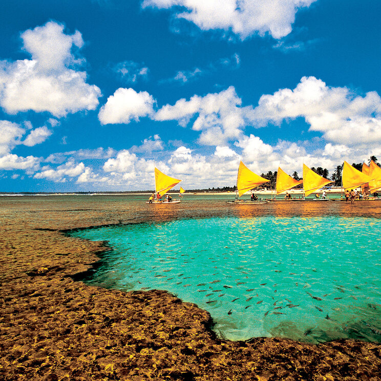 Bunte Segelboote mit gelben Segeln im klaren Wasser von Porto de Galinhas, umgeben von schimmernden Korallenriffen und einem strahlend blauen Himmel.
