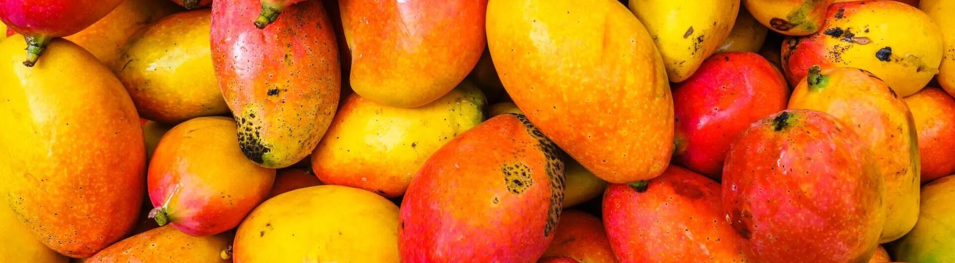 Haufen reifer, rot-gelber Mangos an einem Marktstand in Guatemala.