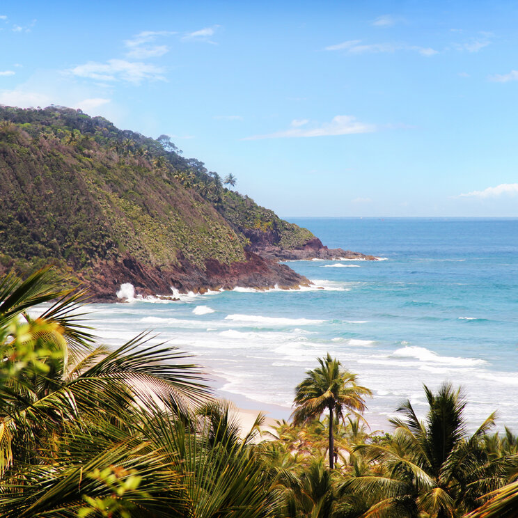 Blick durch Palmenwedel auf die Sandbucht Praia de Itacarezinho mit bewaldeten Hügeln und Meer in Itacaré, Brasilien.