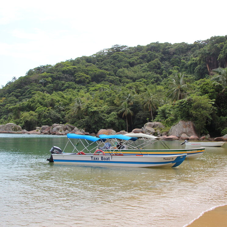 Idyllischer Strand auf Ilha Grande, Brasilien, mit sanften Wellen, umgeben von üppiger tropischer Vegetation und klarem Wasser.