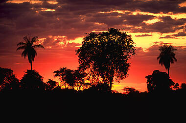 Sonnenuntergang im Amazonasgebiet