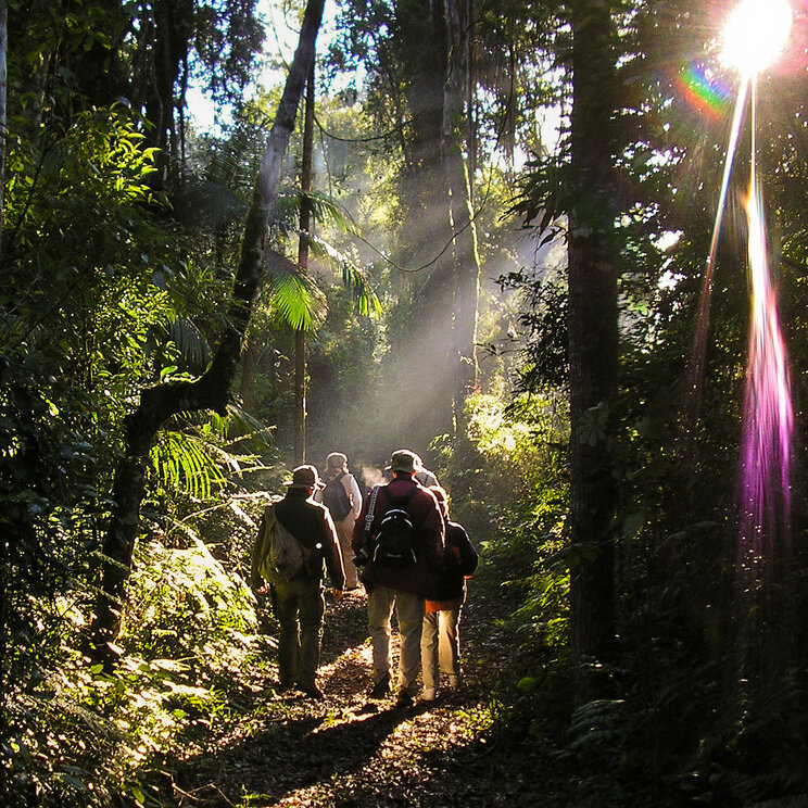 Wanderer im Wald von Iguazu