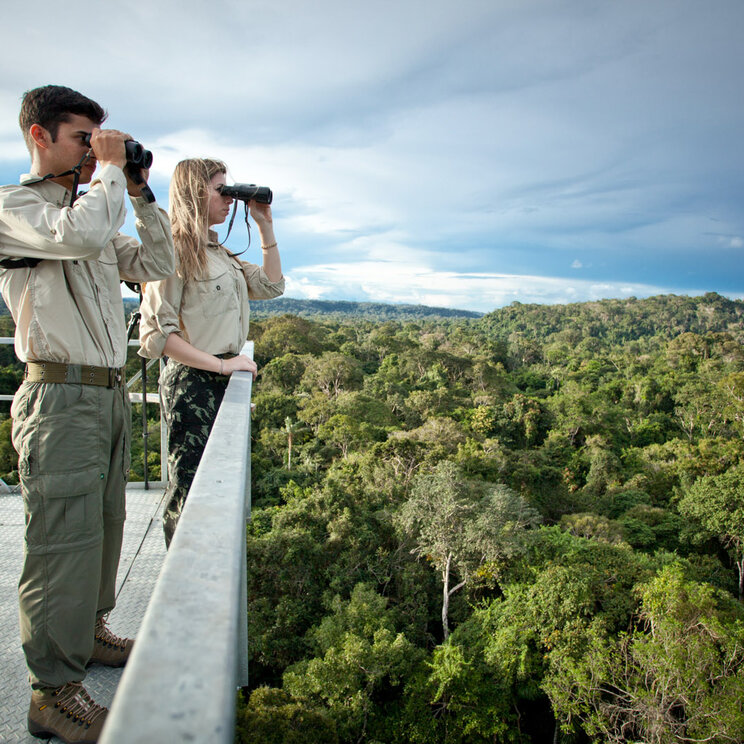 Der Vogelbeobachtungsturm der Cristalino Jungle Lodge ermöglicht einen spektakulären Blick auf die üppige Dschungellandschaft und bietet eine hervorragende Gelegenheit, die vielfältige Vogelwelt des Amazonas zu beobachten.