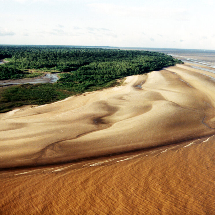 Der marmorierte Strand von Ilha de Marajó beeindruckt mit einzigartigen, faszinierenden Mustern im Sand, die durch die Kombination von Muscheln und Algen entstehen.