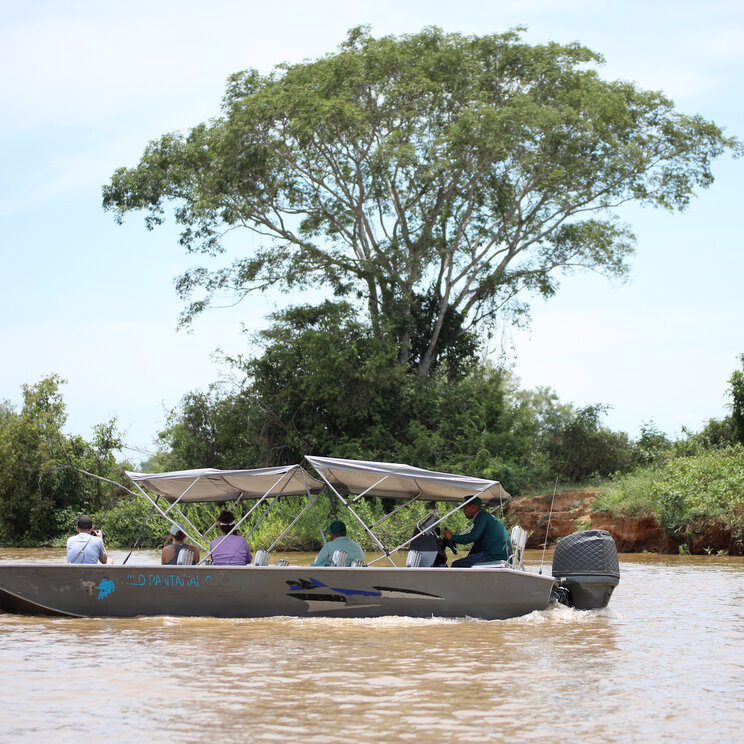 Bootsausflug auf dem Rio Mutum im Pantanal während einer Amazonas Flusskreuzfahrt mit kleiner Gruppe und dichter Vegetation am Ufer