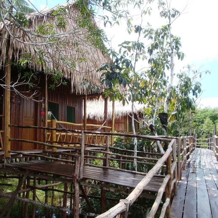 In der Tariri Lodge führen Holzstege zu Bungalows mit Reetdächern im dichten Regenwald am Amazonas.