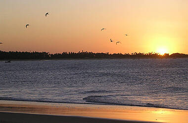 Vögel fliegen bei Sonnenuntergang über das Meer bei São Miguel Gostoso in Brasilien