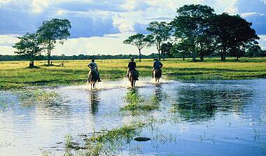 Spiegelglatte Wasserfläche im Pantanal. 3 Reiter reiten durch das seichte Wasser. Im Hintergrund stehen zwei Baumgruppen