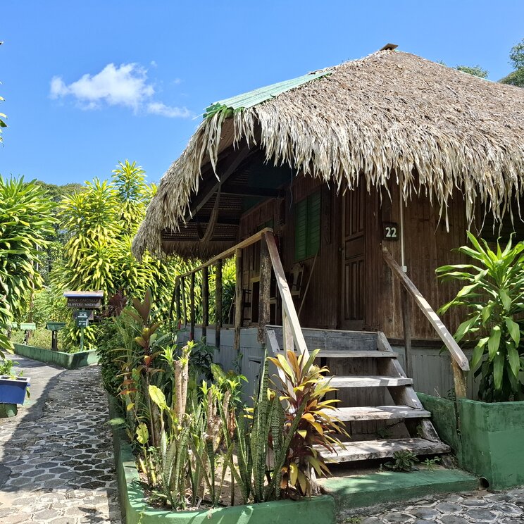 Rustikaler Holzbungalow mit Strohdach und Aussentreppe in der Gartenanlage von Amazon Village.