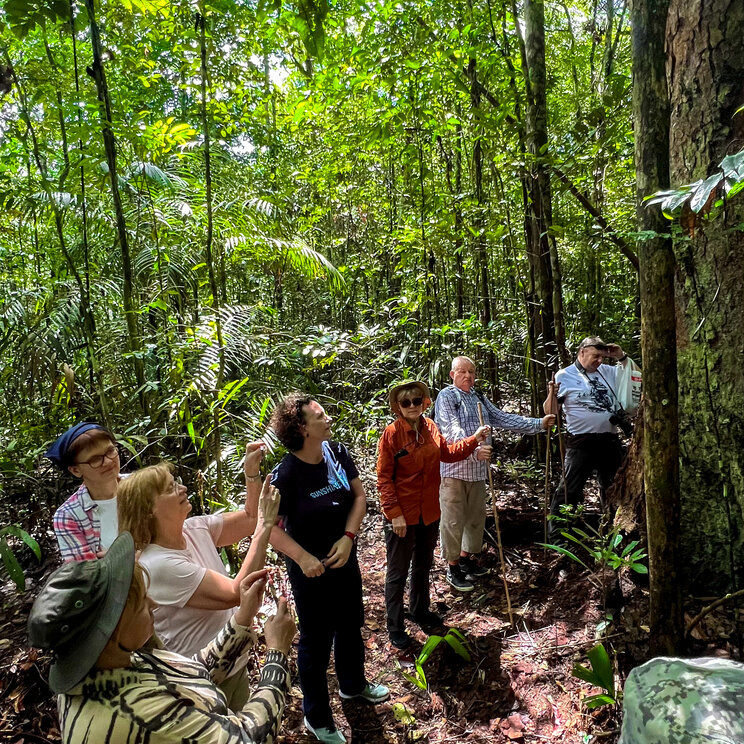 Reisegruppe bei einer gefuehrten Wanderung durch den dichten Regenwald bei Amazon Village.