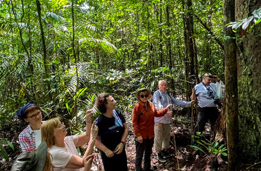 Reisegruppe bei einer gefuehrten Wanderung durch den dichten Regenwald bei Amazon Village.