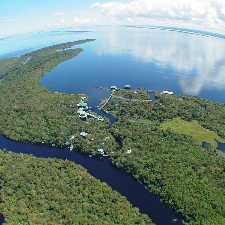 Amazonasgebiet