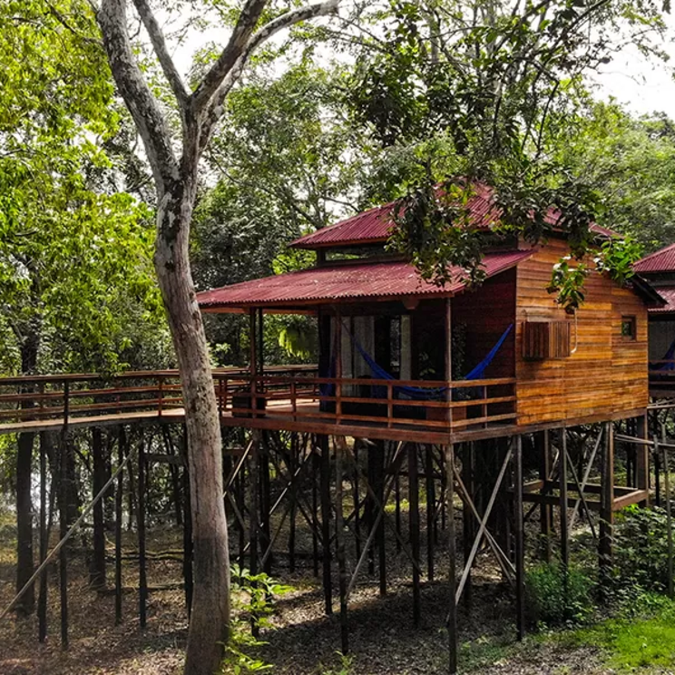 Holzhütten auf Stelzen in der Manati Lodge im Amazonas, Brasilien, umgeben von üppigem Grün und mit Verbindungswegen.