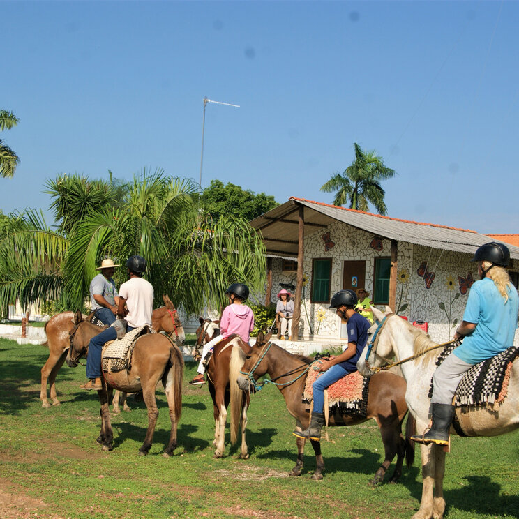 Aktivität in einem Hotel im Pantanal, Brasilien: Gäste genießen eine Reittour in der Natur, begleitet von fachkundigen Guides.