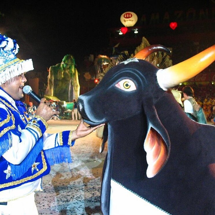 Ein Sänger im blau-weißen Kostüm singt beim Boi-Bumbá-Festival in Parintins vor einer großen Ochsenfigur.
