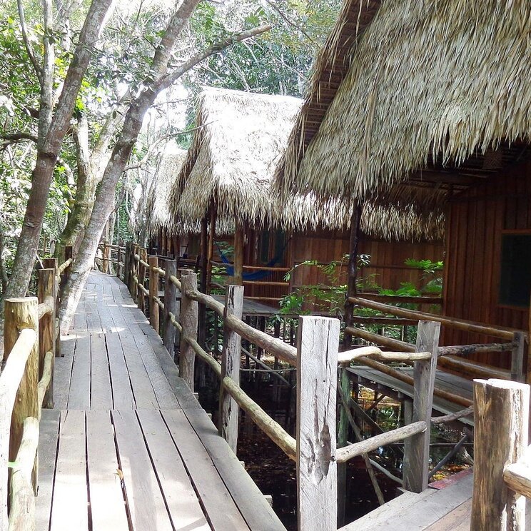 Der Tariri Lodge im Amazonas in Brasilien mit Holzsteg, der zu den Unterkünften führt