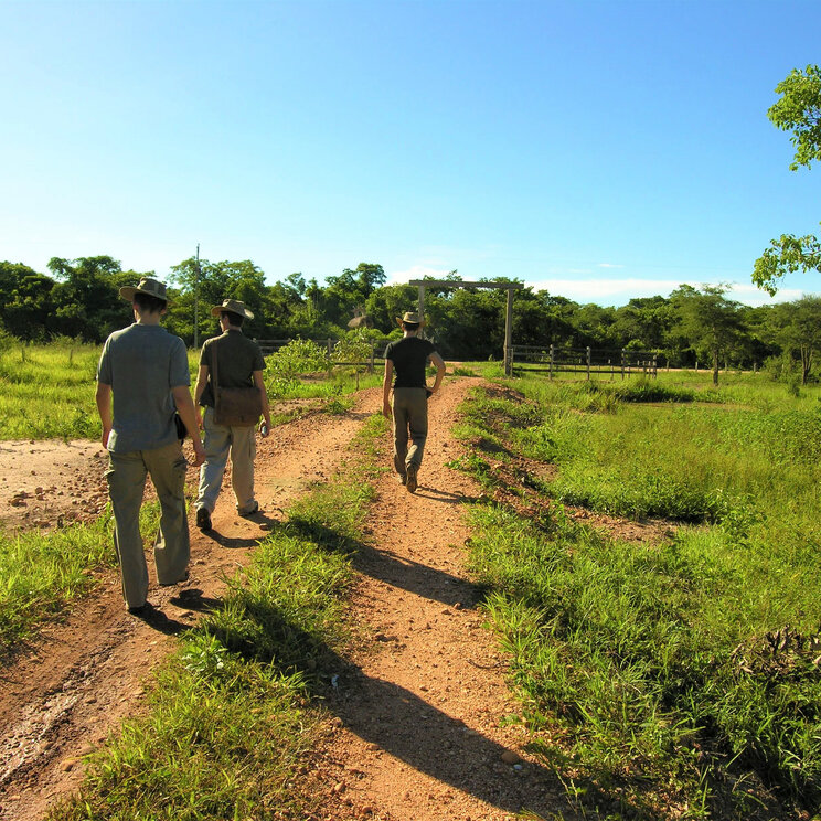 Gäste auf einer geführten Wanderung durch die Natur des Pantanals, organisiert vom Hotel UeSo Pantanal, Brasilien.