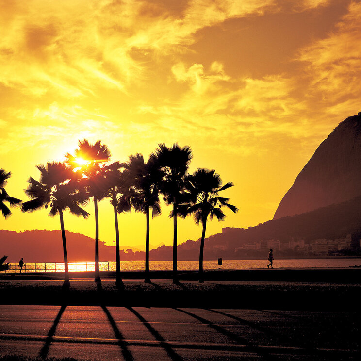Blick auf Rio de Janeiro vom Strand aus bei Sonnenuntergang, mit Palmen im Vordergrund und dem Zuckerhut in warmen Gelb- und Rottönen.