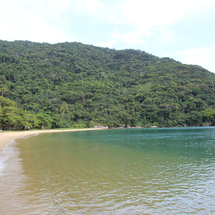 Idyllischer Strand auf Ilha Grande, Brasilien, mit sanften Wellen, umgeben von üppiger tropischer Vegetation und klarem Wasser.