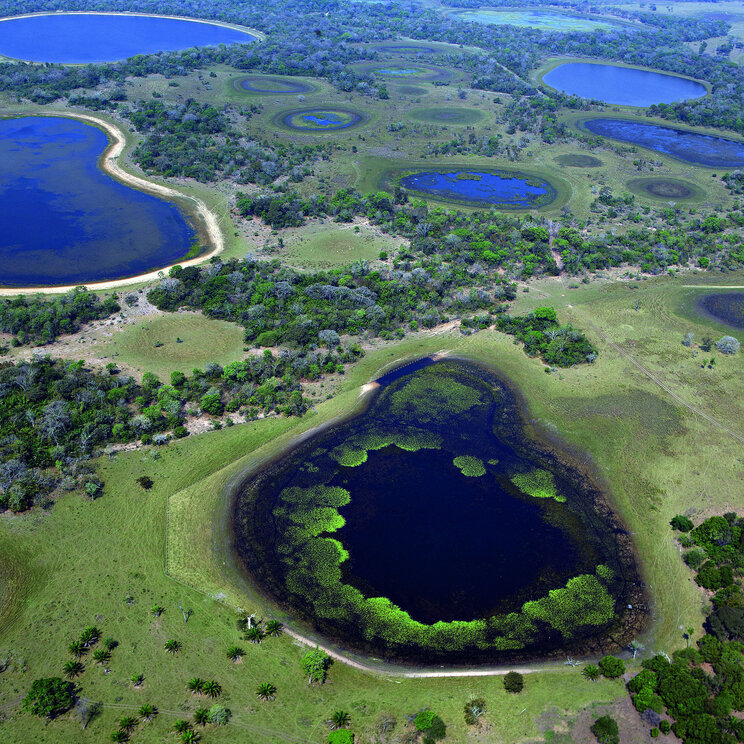 Luftaufnahme der umgebenden Seenlandschaft des Hotel Barra Mansa im Pantanal.