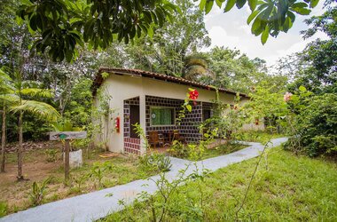 Asphaltierter Pfad führt zu einem Bungalow der Turtle Lodge im Amazonas. Im Hintergrund dichte Vegetation.