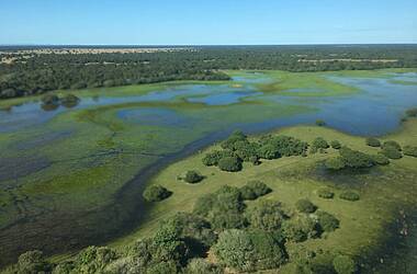 Flusslandschaft im Pantanal in Brasilien
