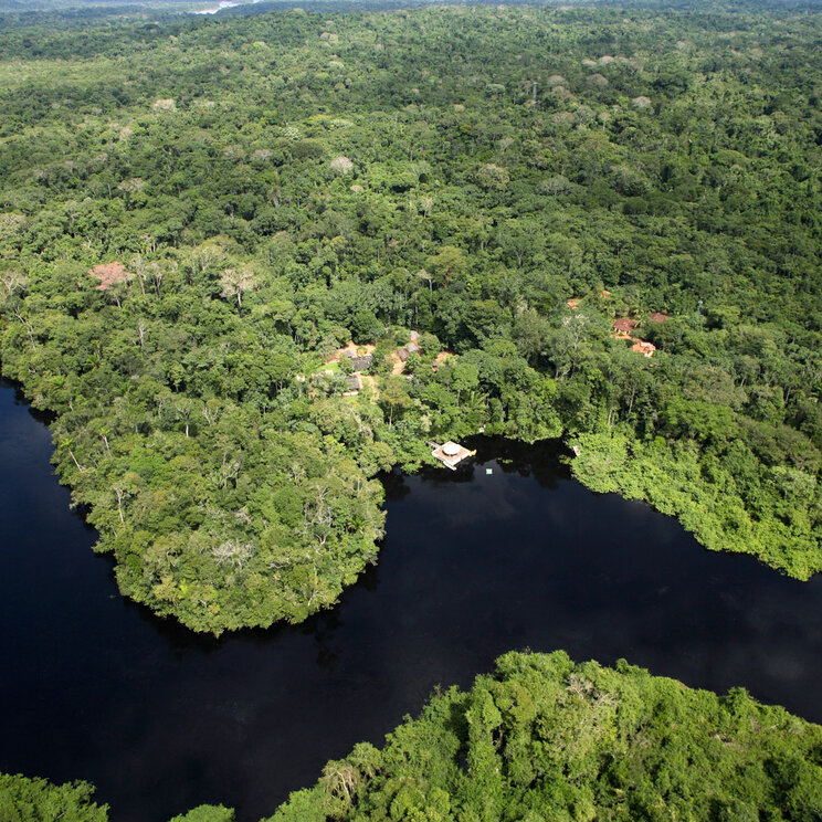 Von der Cristalino Jungle Lodge bietet sich ein atemberaubender Blick über den Amazonas-Regenwald, mit seinen endlosen grünen Baumkronen und dem dichten Blätterdach, das sich bis zum Horizont erstreckt.