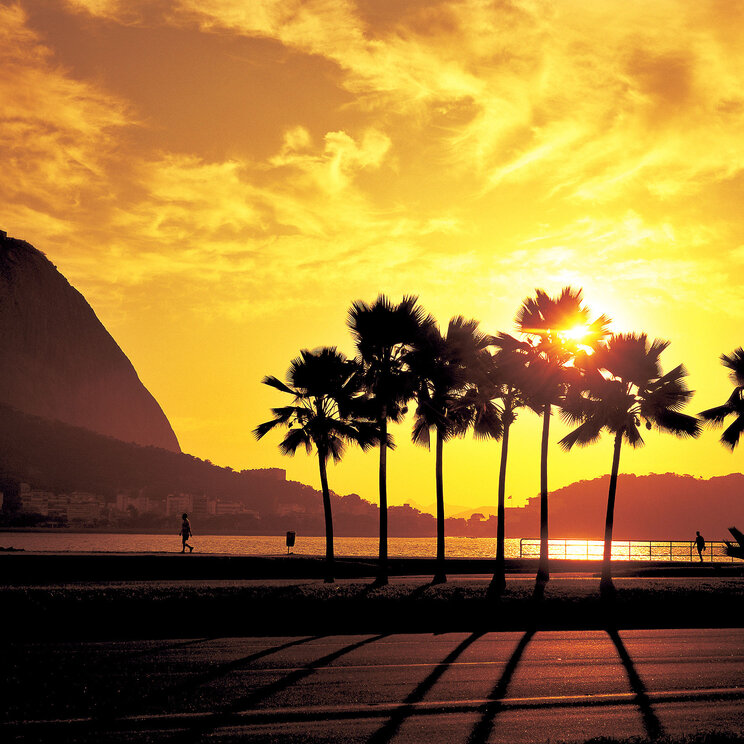 Sonnenuntergang am Zuckerhut in Rio de Janeiro, Brasilien, mit Palmen im Vordergrund, deren Schatten auf die Straße fallen, und einem goldenen Himmel im Hintergrund.