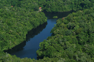 Amazonas aus der Luft