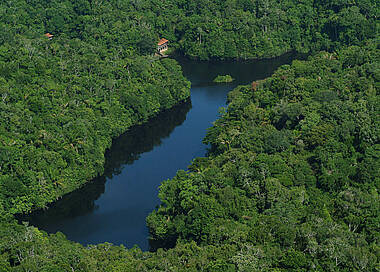 Amazonas aus der Luft